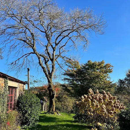 Holiday home O Freixo *