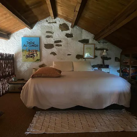 Holiday home O Freixo A Capela