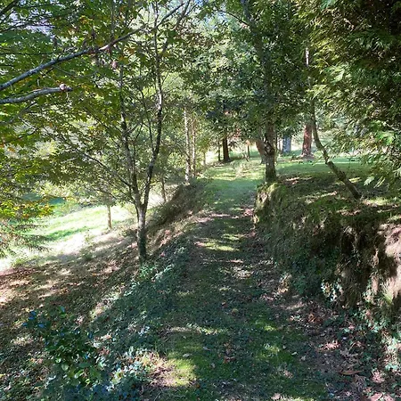 O Freixo Holiday home *