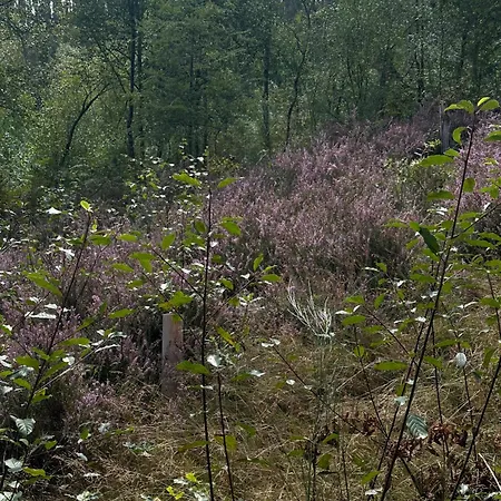 Holiday home O Freixo *