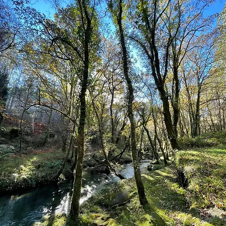 O Freixo Holiday home A Capela