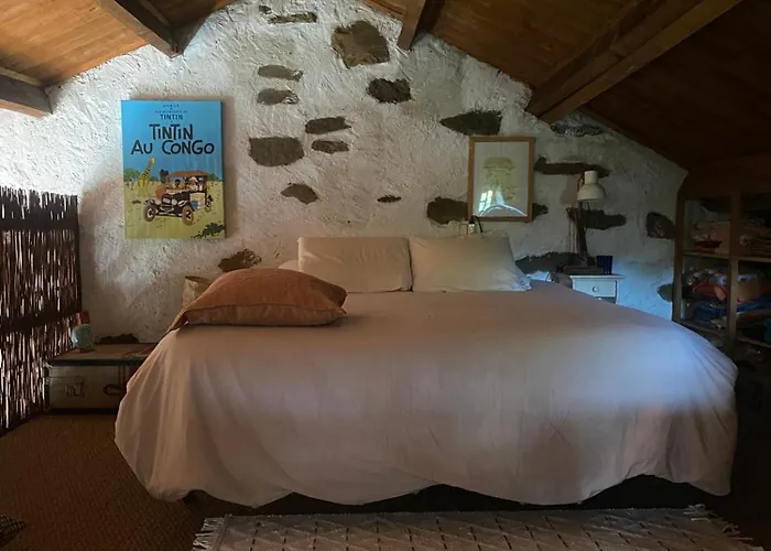 بيت للعطل O Freixo A Capela