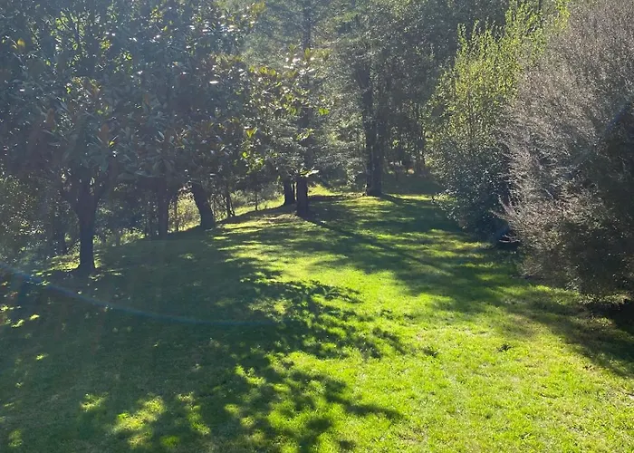 O Freixo بيت للعطل