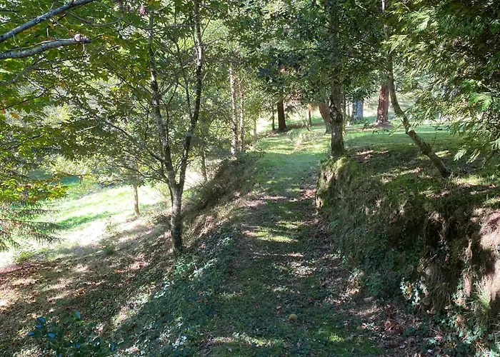 O Freixo بيت للعطل *