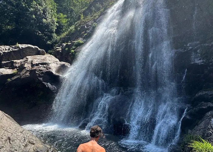 O Freixo بيت للعطل