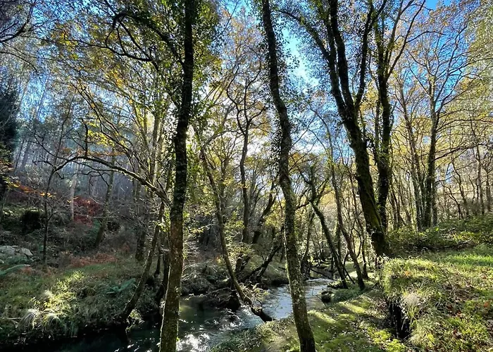 O Freixo بيت للعطل A Capela